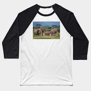 Amboseli National Park Baseball T-Shirt